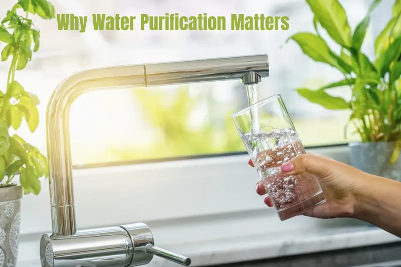 why water purification matters